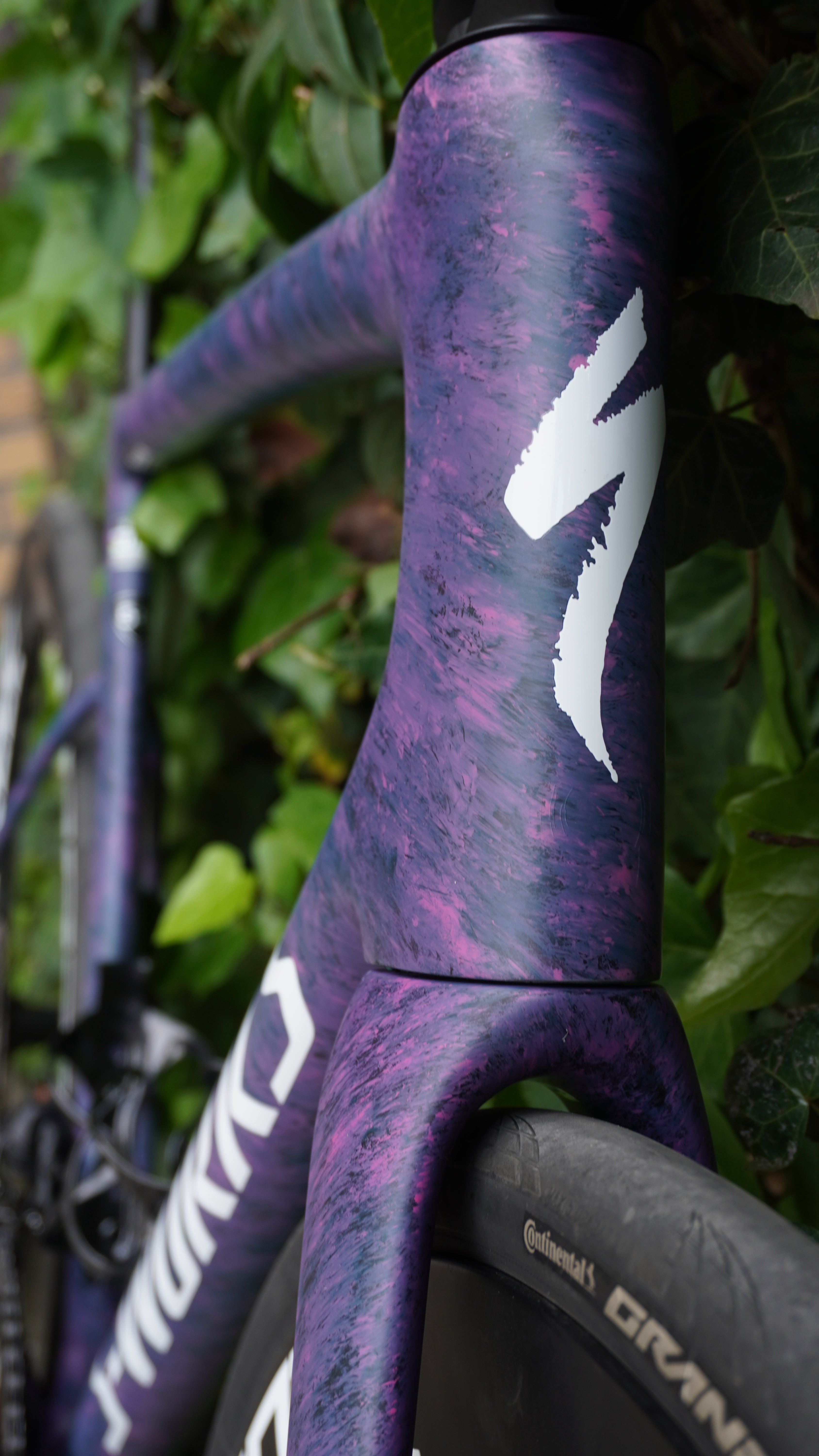 S-Works SL8 | Leeze Custom